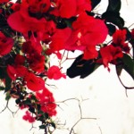 Hotel Rural con Encanto en Almeria